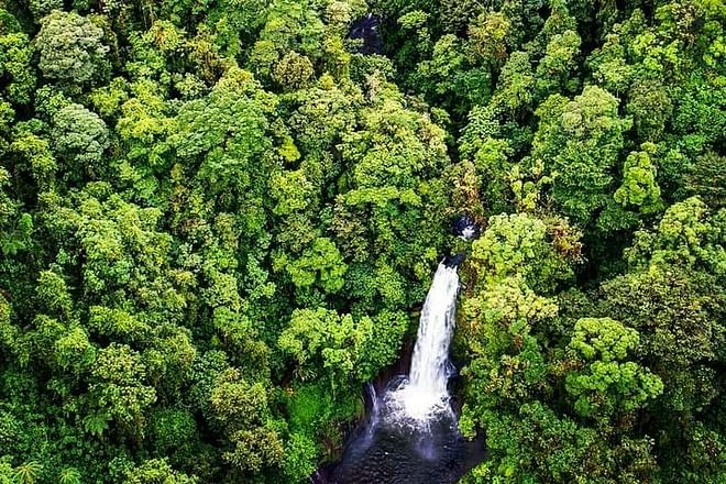 Exclusive La Paz Waterfall Gardens Excursion