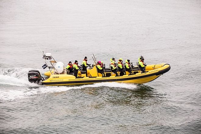 Puffin Watching Speedboat Adventure from Reykjavik Center