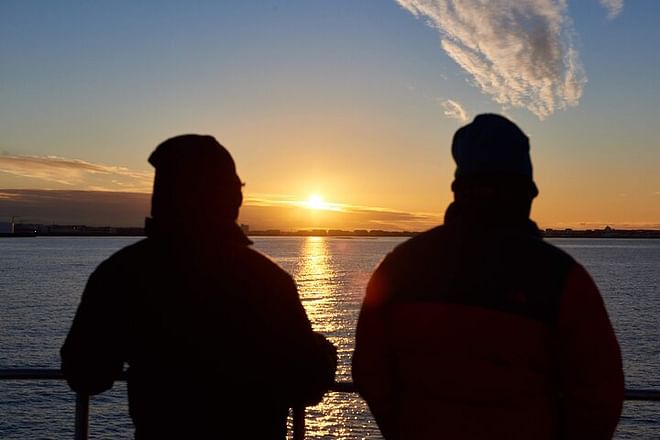 Reykjavik Luxury Yacht Whale Watching Adventure