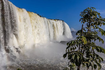 Discover Iguassu Falls: Brazilian Side Adventure with Exclusive Bird Park Tour and IGU Airport Transfer