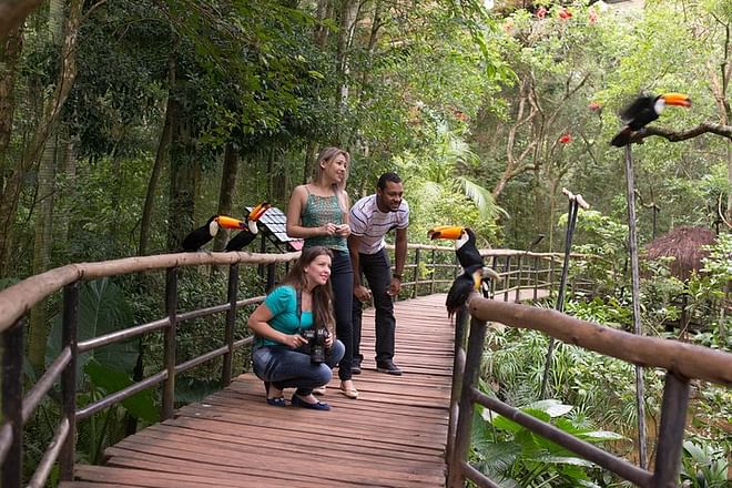 Exclusive Brazilian Adventure: Itaipu Dam Exploration, Bird Park Discovery, and Iguassu Falls Experience