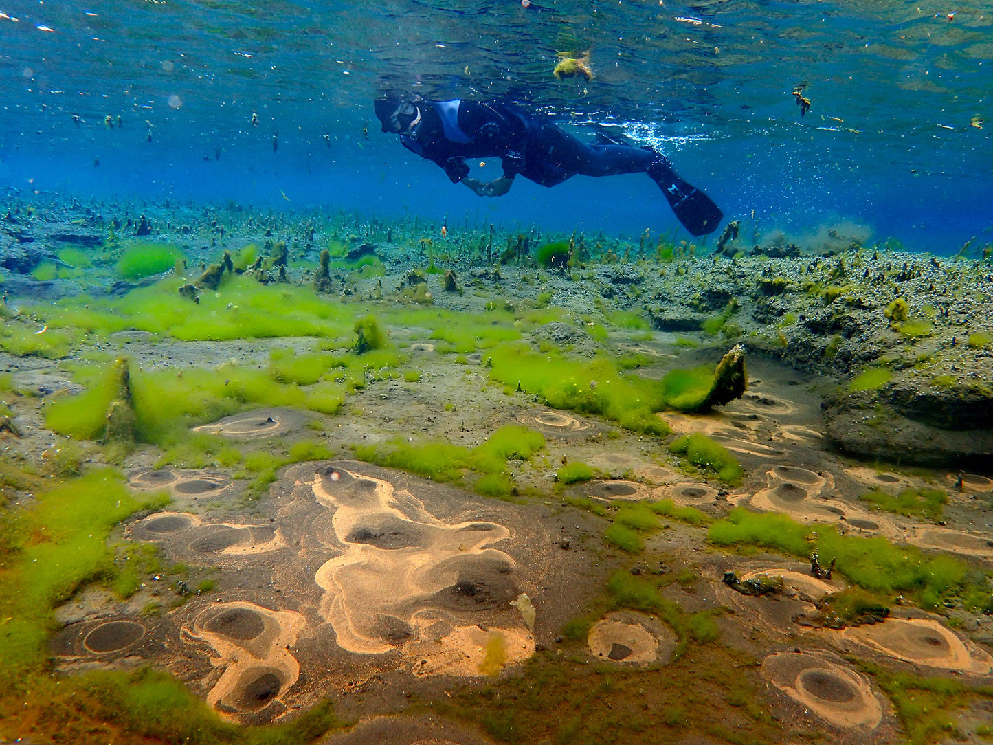 Snorkeling Adventure at Bubbling Sands