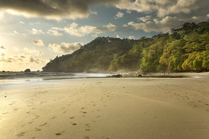 Escape to Paradise: Manuel Antonio Beach & San Jose City Short Getaway Adventure