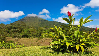 Self-Guided Beach and Volcano Dream Adventure