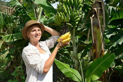 Coastal Adventure from Puerto Limon: Discovering Cahuita National Park and Banana Plantation