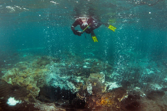 Hot Springs Group Snorkeling Experience