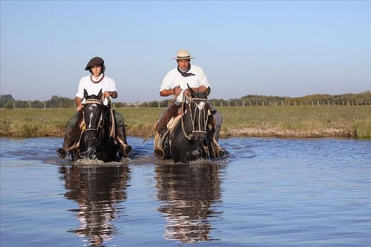 Small-Group San Antonio de Areco Estancia Tour: Exclusive Shore Excursion Experience