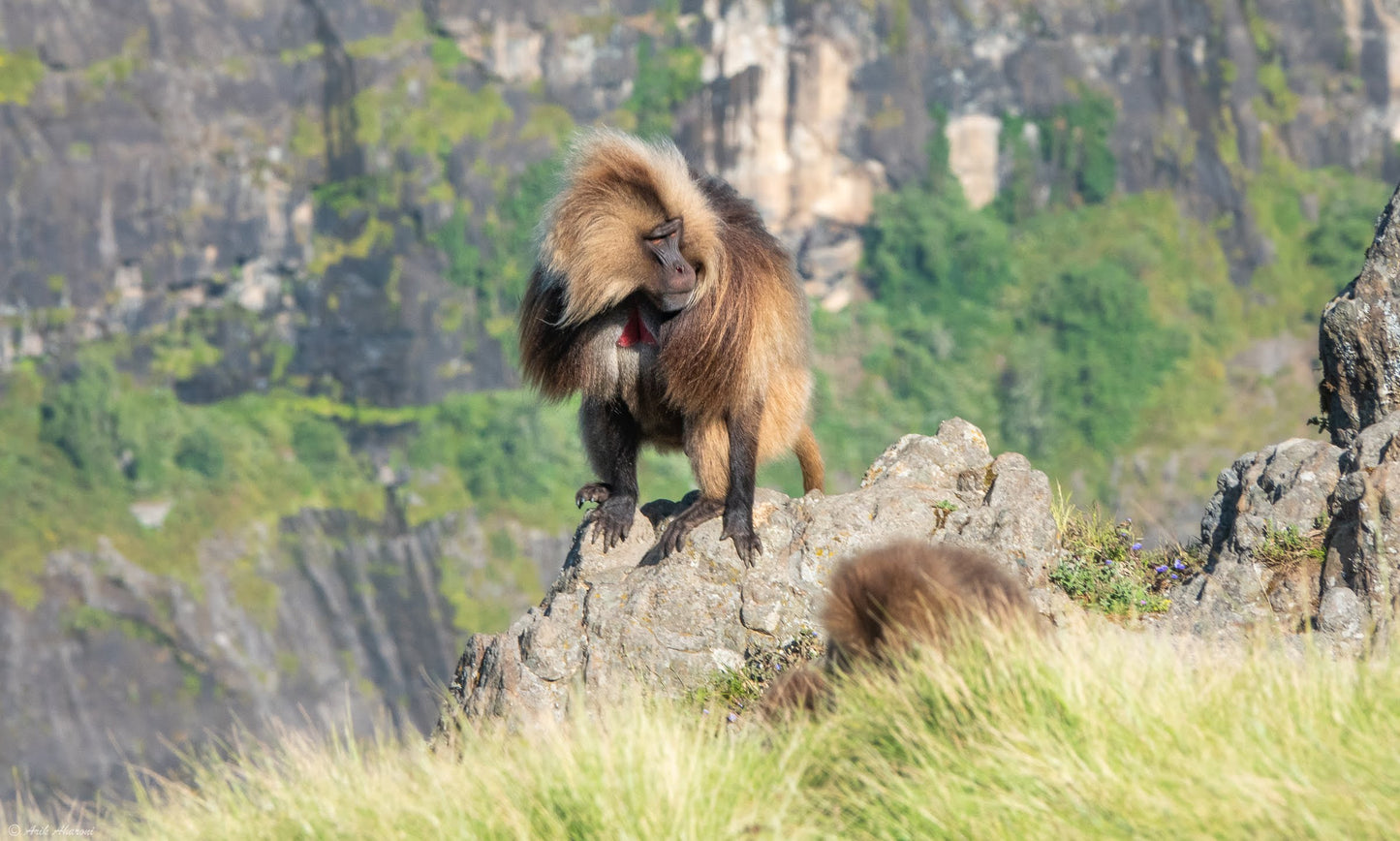 Ethiopia's Historical Highlights: A Comfortable and Enriching Tour Experience