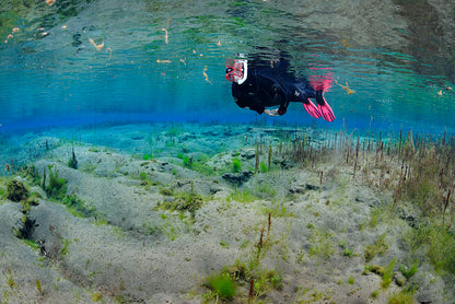 Snorkeling Adventure at Bubbling Sands