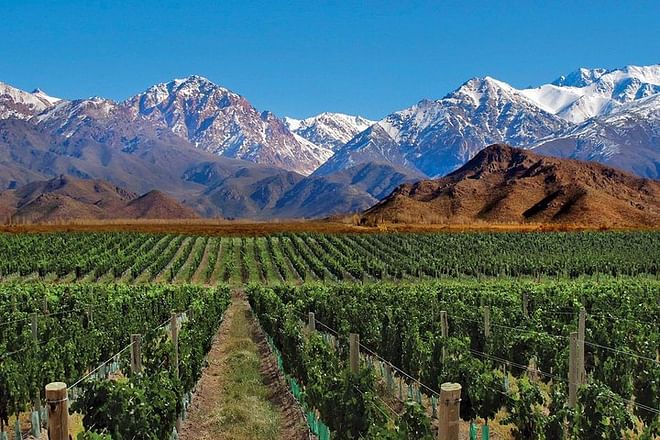 Andes and Mendoza Adventure: 4-Day Exploration Getaway