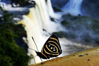 2-Day Exclusive Guided Tour in Foz do Iguaçu