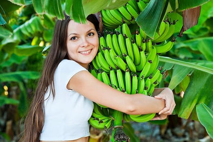 Coastal Adventure from Puerto Limon: Discovering Cahuita National Park and Banana Plantation