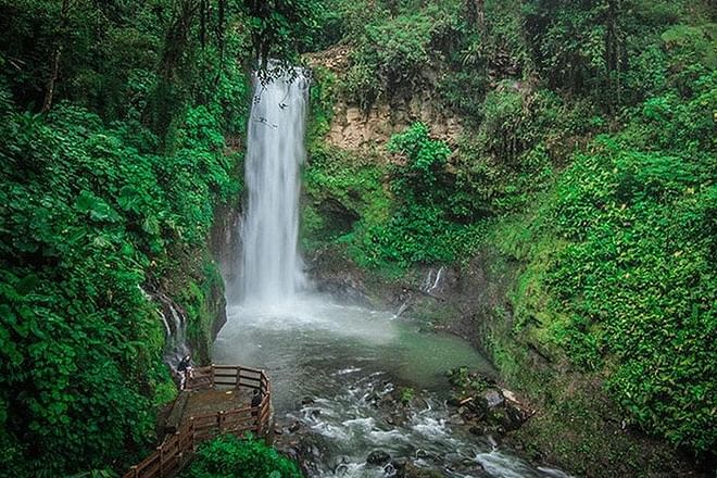 Exclusive La Paz Waterfall Gardens Excursion