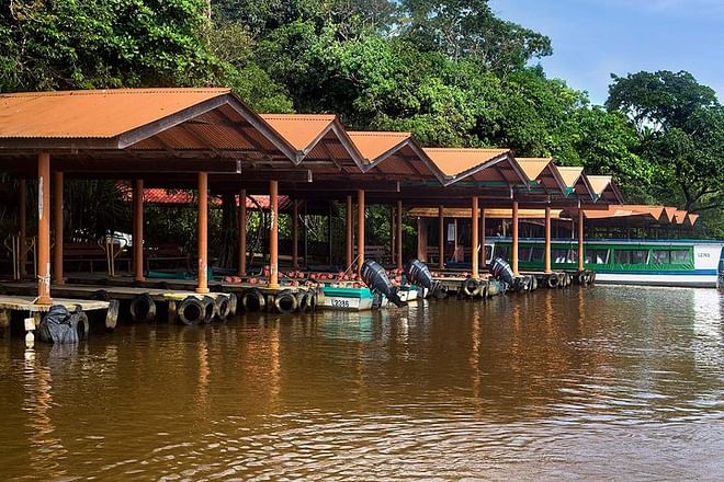 Tortuguero National Park 3-Day Exploration Package