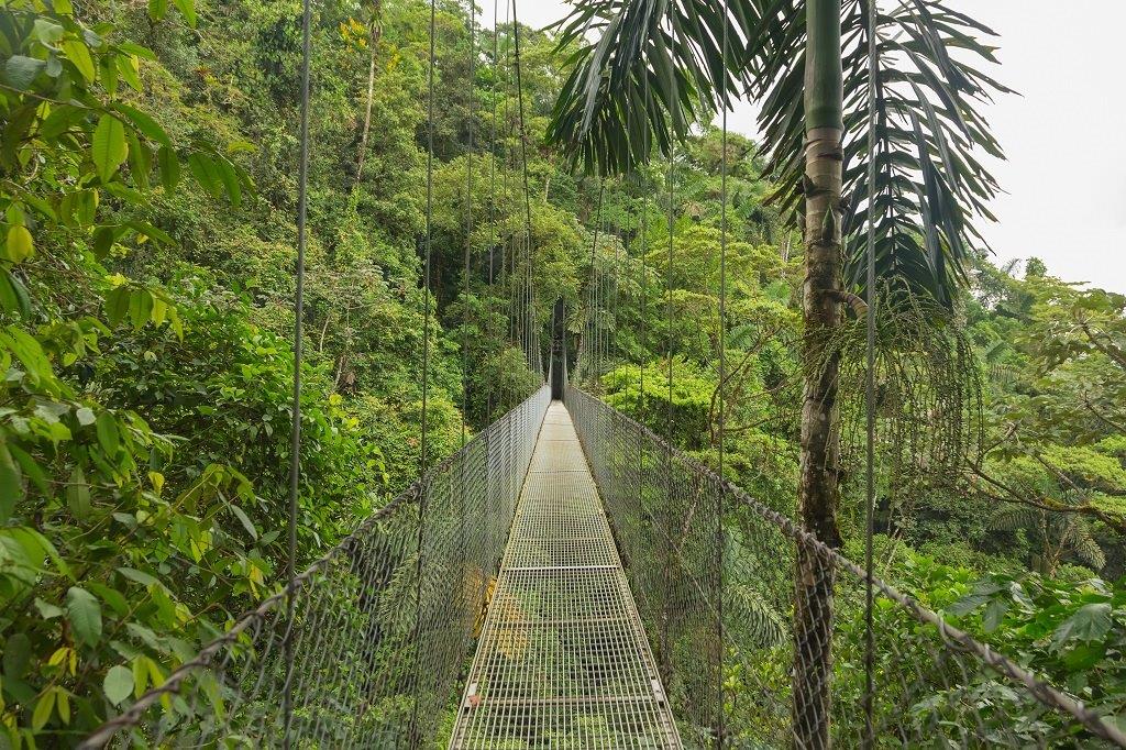 Explore the Best of Costa Rica: Unveiling the Marvels of Manuel Antonio National Park