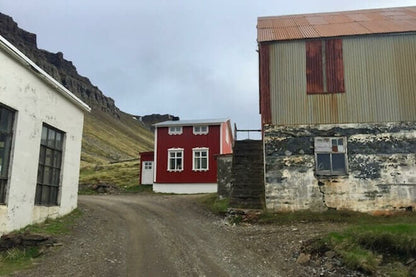 Minibus Adventure Tour in Strandir