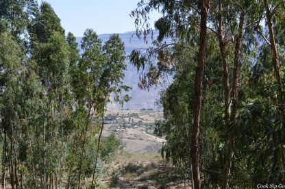 Explore Debre Libanos Monastery: Unveiling the Secrets of the Portuguese Bridge in a Day Adventure