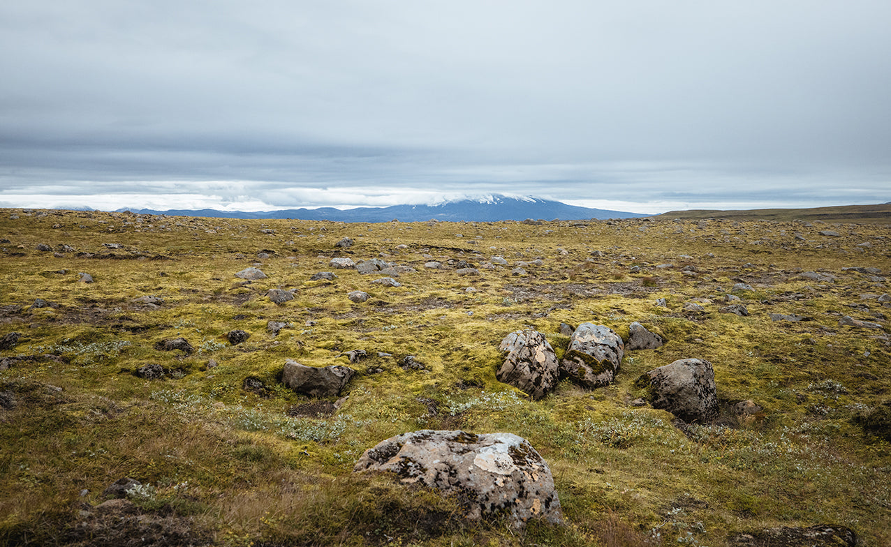 Highlands and Landmannalaugar Exclusive Private Tour: Discover Secret Gems with Photo Package