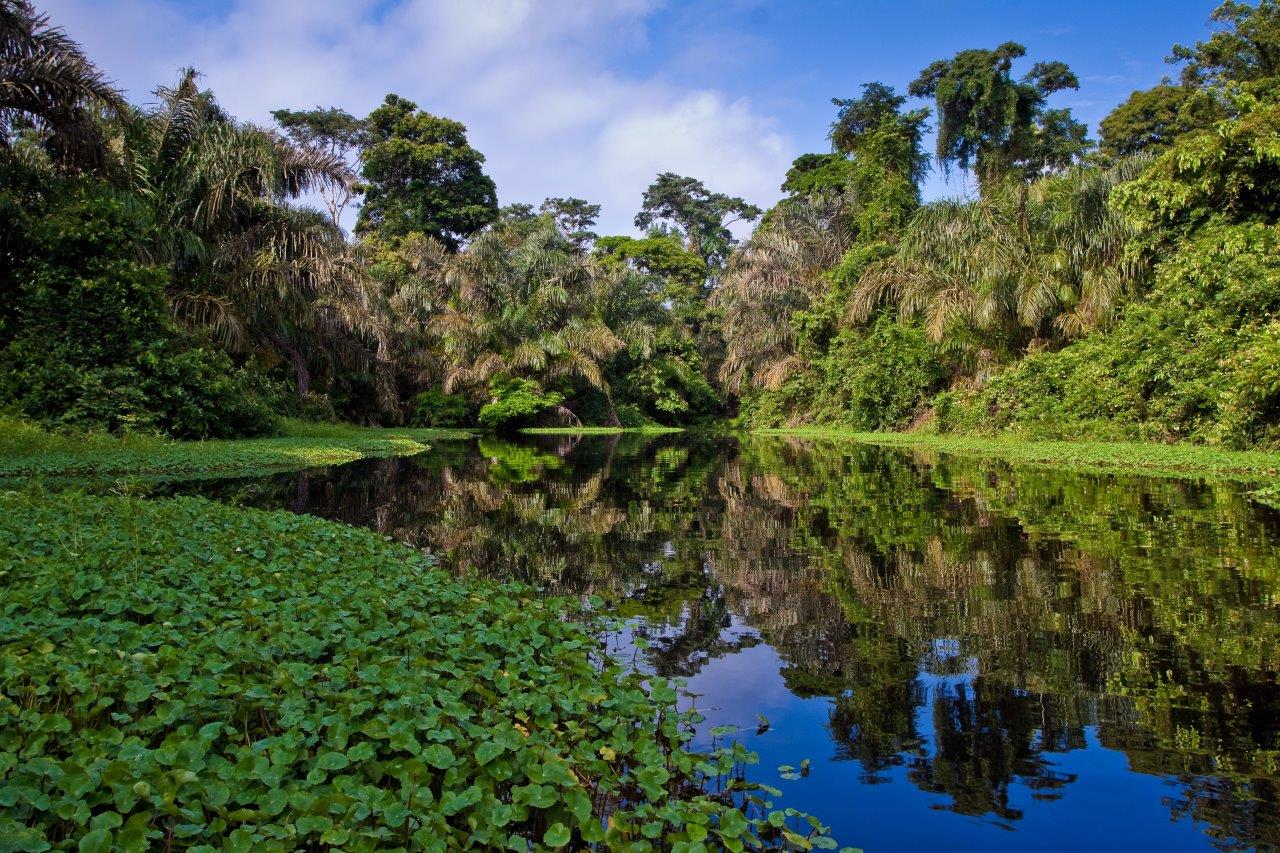 Explore the Best of Costa Rica: Unveiling the Marvels of Manuel Antonio National Park