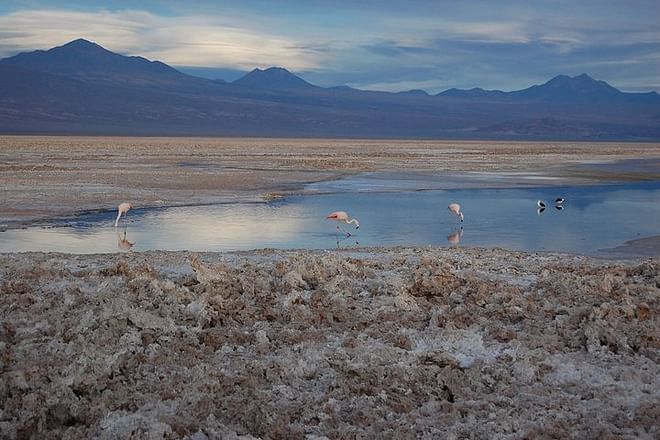 San Pedro de Atacama 3-Day Discovery Adventure Tour