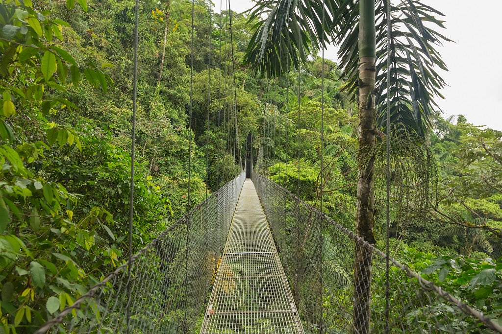 Explore Costa Rica Highlights: Manuel Antonio National Park, Beautiful Beaches & San Jose Adventure