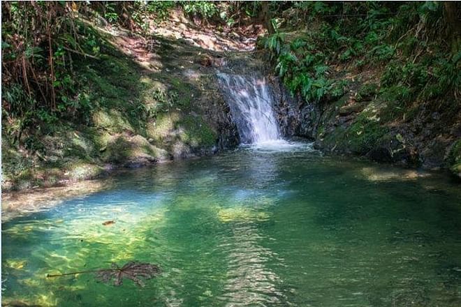 Full-Day Wilderness Exploration: An Adventure Hike Through Untouched Nature