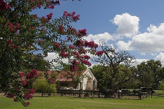 Explore San Antonio de Areco Village and Discover Traditional Estancia Life