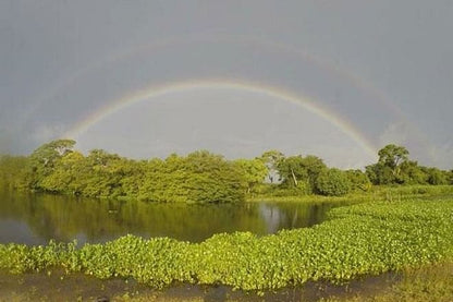 Discover the Magic of the Pantanal: 5-Day Northern Pantanal Exploration Adventure