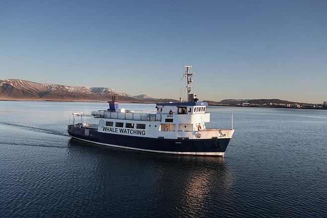 Reykjavik New Year's Eve Firework Cruise: Sail into Celebrations