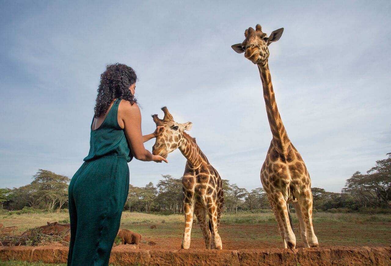 Ultimate 10-Day Romantic Kenya Safari: The Perfect Honeymoon Adventure