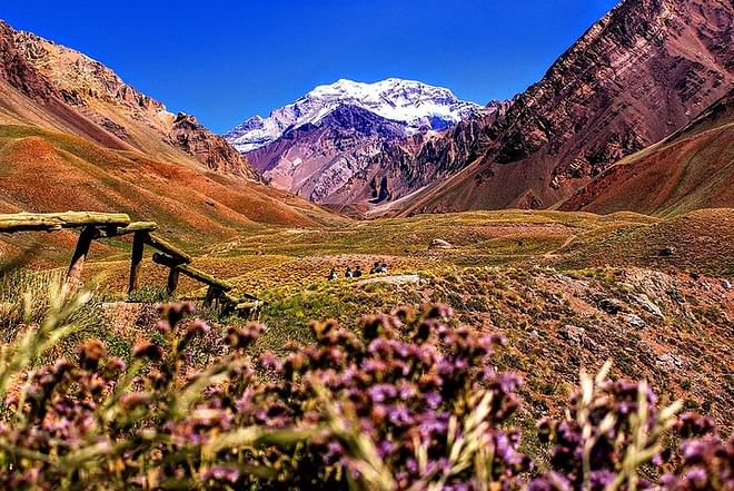 Exclusive Seven-Day Wine Tour through Chile and Argentina's Premier Vineyards