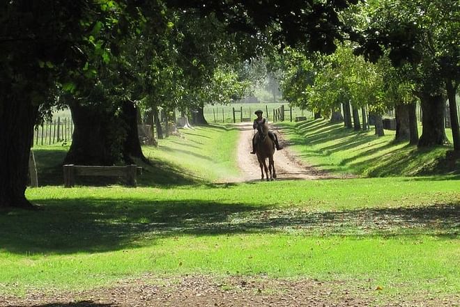 Exclusive Argentine Estancia: Private Day Tour Experience