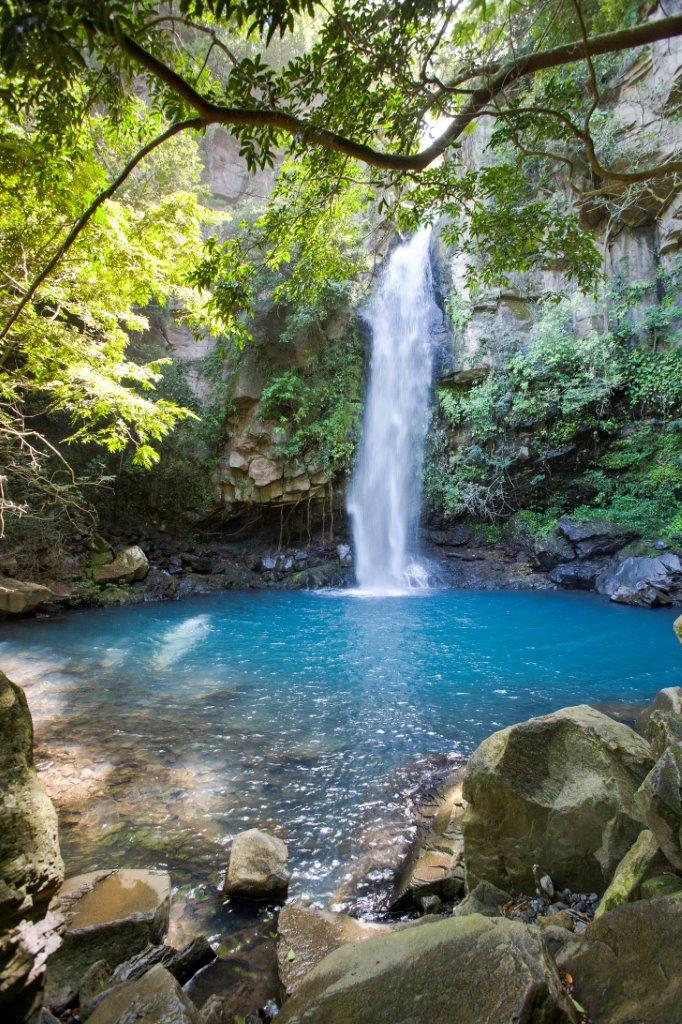 Discover the Enchanting Waterfalls and Lush Forests of Costa Rica