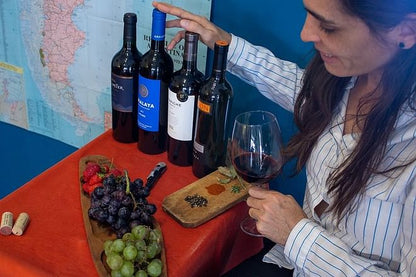 Argentina's Premier Malbec Wine Journey: Interactive Online Tasting Experience