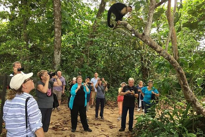 Coastal Adventure from Puerto Limon: Discovering Cahuita National Park and Banana Plantation