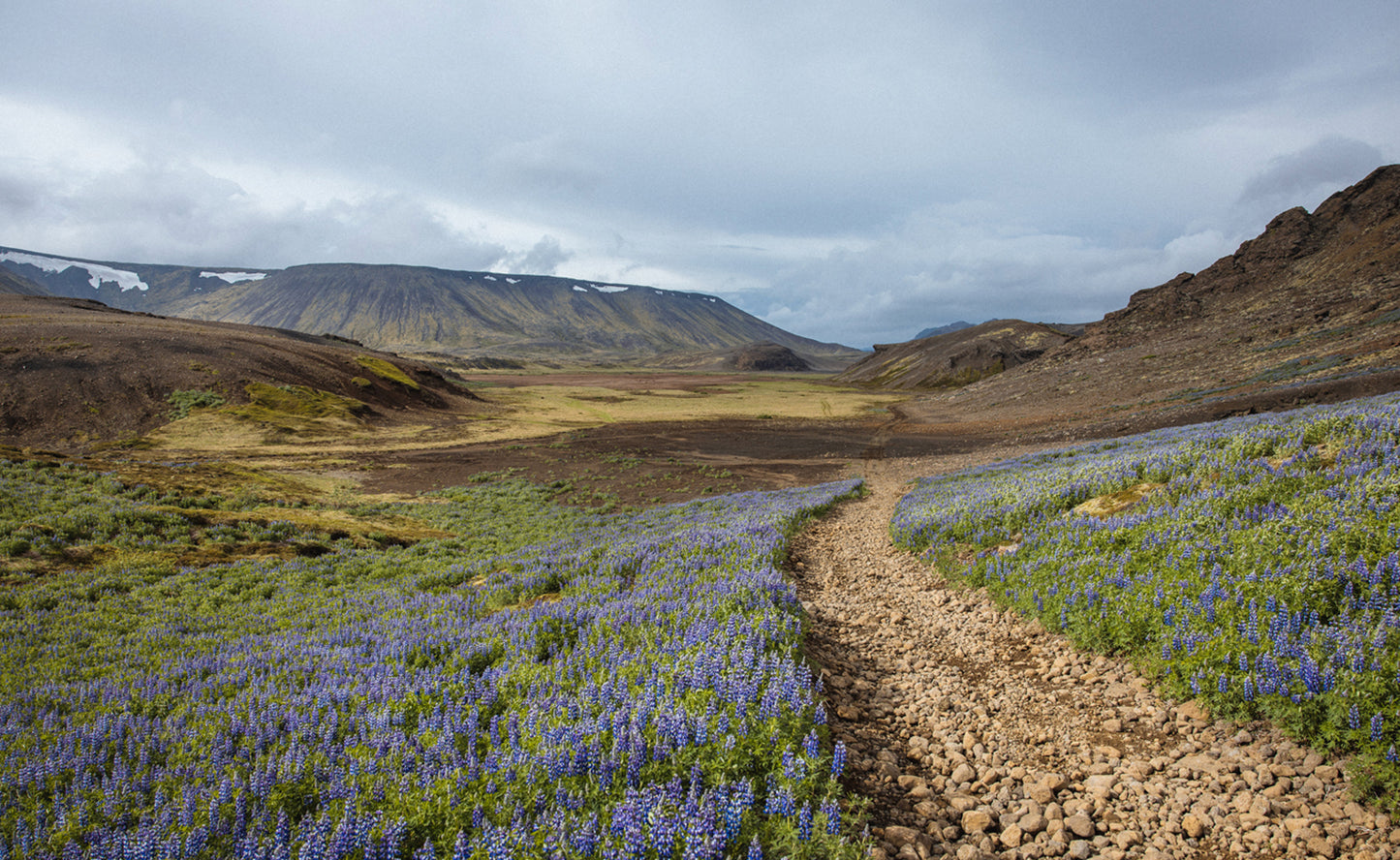 Private Super Jeep Tour of Reykjanes Peninsula with Photo Package