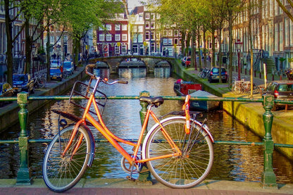 Discover Belgium and Netherlands: 7-Day Tour with 11 Memorable Excursions in a Minivan