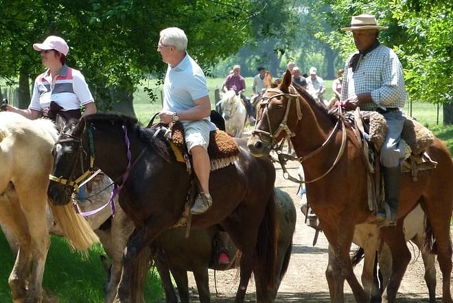 Exclusive Argentine Estancia: Private Day Tour Experience