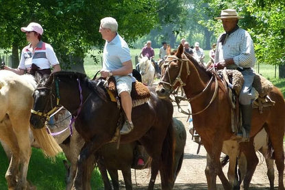 Exclusive Argentine Estancia: Private Day Tour Experience