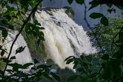 Exclusive Iguassu Falls Brazilian Side and Bird Park Adventure from Puerto Iguazú Accommodations