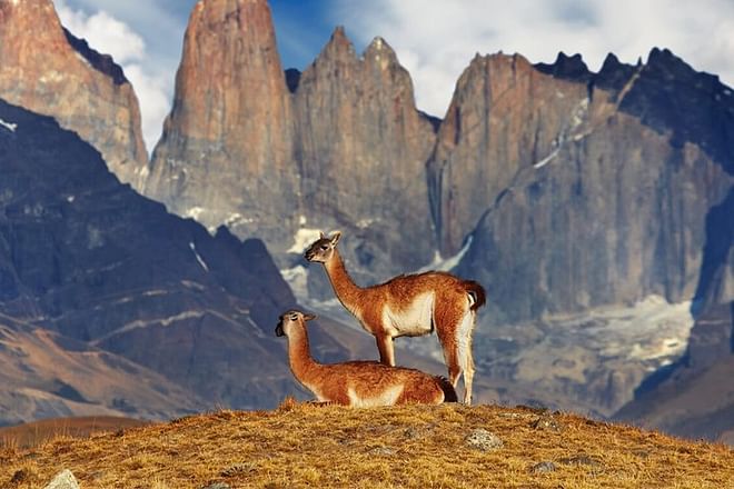 Seven-Day Self-Guided W Trek Adventure in Torres del Paine National Park