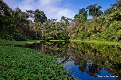 Rincon de la Vieja Quick Escape: Discover Nature's Bliss