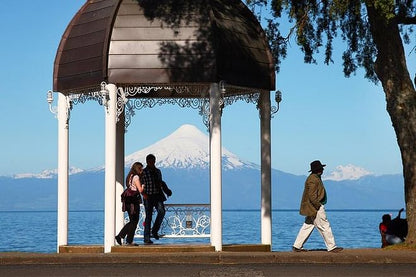 Luxury Half-Day Small-Group Frutillar Tour from Puerto Varas