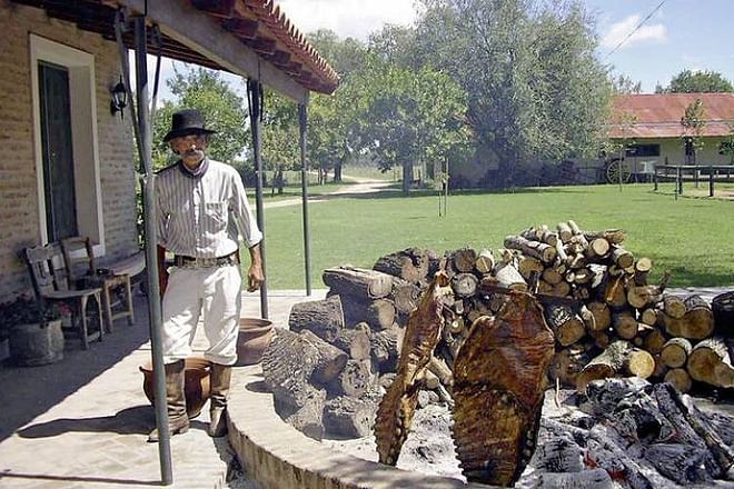 Exclusive Argentine Estancia: Private Day Tour Experience