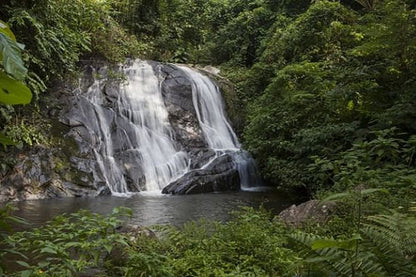 Sao Paulo: Private Eco Tour of the Atlantic Forest, Valleys, and Hills