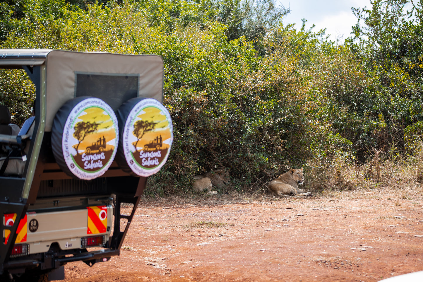 Open Jeep Sunrise Safari Experience at Nairobi National Park