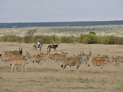 Maasai Mara Horseback Safari Experience