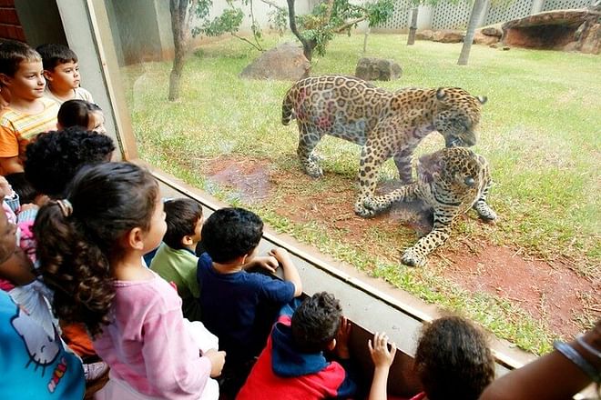 Exclusive Half-Day Itaipu Dam Exploration and Biological Refuge Adventure