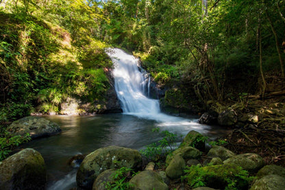 Discover the Enchanting Waterfalls and Lush Forests of Costa Rica