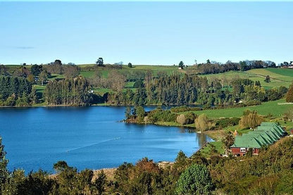 Luxury Half-Day Small-Group Frutillar Tour from Puerto Varas